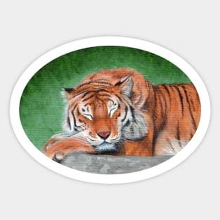 Sleeping Tiger Sticker